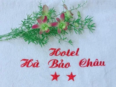 Hà Bảo Châu 1 Hotel Tân Bình – 照片 4